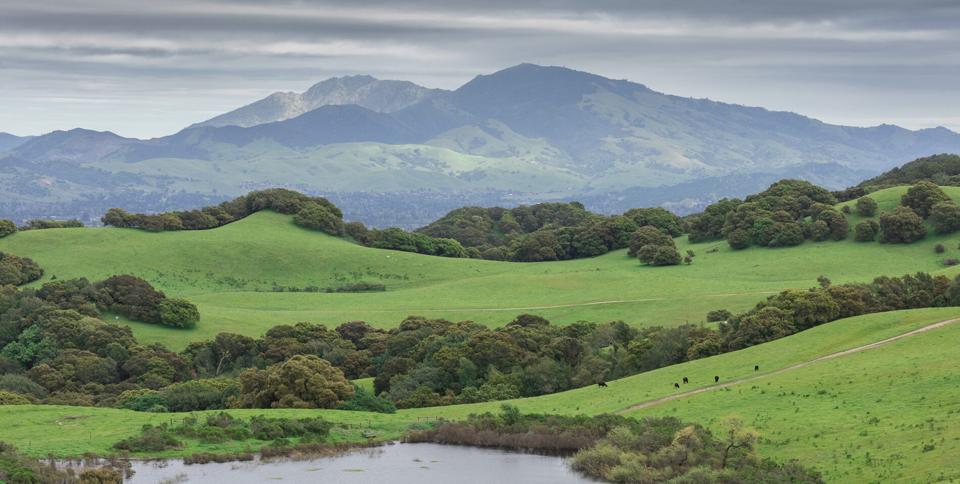 Mt. Diablo Contra Costa County
